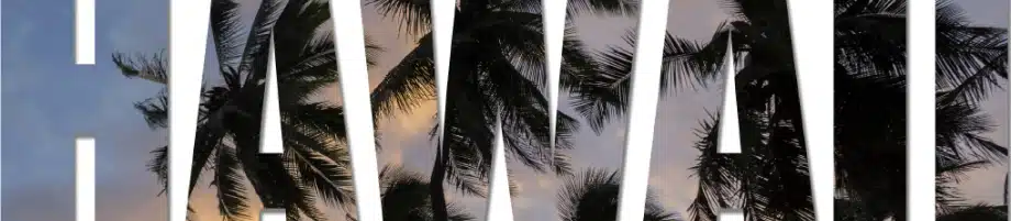 Banyan Apartments Hawaii.