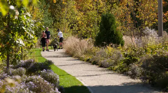 Terrace Apartments walkway.